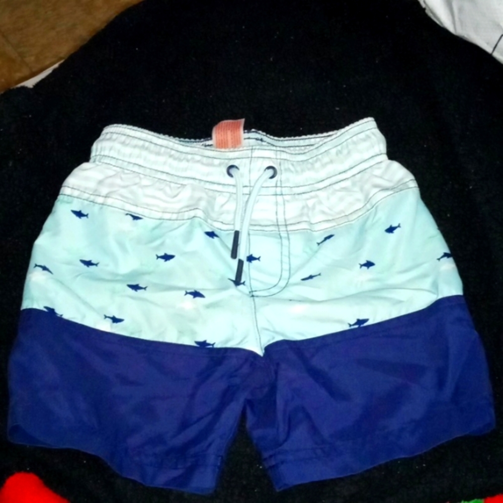Cat & jack swim shorts size 3T